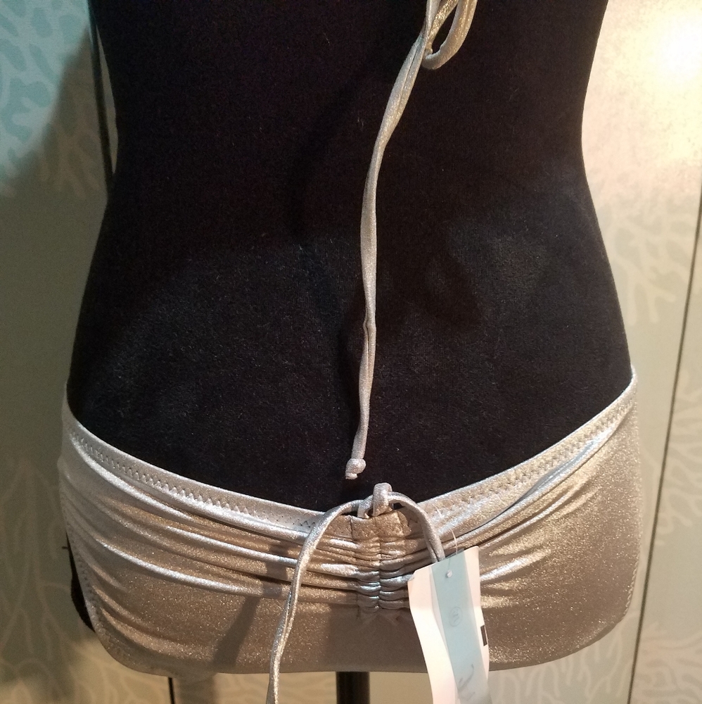Silver Bikini - Picture 6 of 6